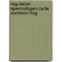 Regulation spermatogen.cycle common frog