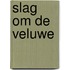 Slag om de veluwe
