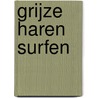 Grijze haren surfen door A.N. de Bruin-Albrichs