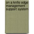 On a knife edge management support system