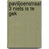 Paviljoenstraat 3 niets is te gek