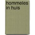 Hommeles in huis