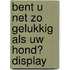Bent u net zo gelukkig als uw hond? display
