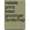 Riekele prins etser groninger landschap door Jansma