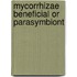 Mycorrhizae beneficial or parasymbiont