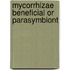 Mycorrhizae beneficial or parasymbiont