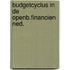 Budgetcyclus in de openb.financien ned.