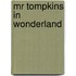 Mr tompkins in wonderland