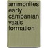Ammonites early campanian vaals formation