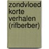 Zondvloed korte verhalen (rifberber)