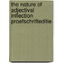 The nature of adjectival inflection proefschrifteditie