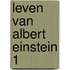 Leven van albert einstein 1