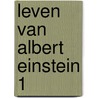 Leven van albert einstein 1 door Goossens