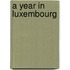 A year in Luxembourg