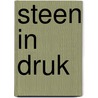 Steen in Druk by P. van der Steen