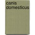 Canis domesticus