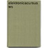 Elektronicacursus ws