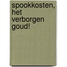 Spookkosten, het verborgen goud! by B. van Luijk