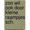 Zon wil ook door kleine raampjes sch. door Poort