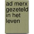 Ad merx gezeteld in het leven
