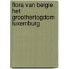 Flora van belgie het groothertogdom luxemburg by Unknown