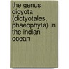 The genus dicyota (dictyotales, phaeophyta) in the Indian Ocean door O. De Clerck