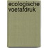 Ecologische voetafdruk