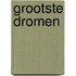 Grootste dromen