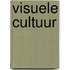Visuele cultuur