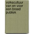 Volkscultuur van en voor een breed publiek