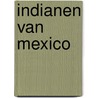Indianen van mexico door Leyenaar