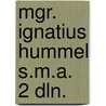 Mgr. ignatius hummel s.m.a. 2 dln. door Brakel