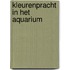 Kleurenpracht in het aquarium