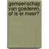 Gemeenschap van goederen, of is er meer?