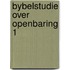 Bybelstudie over openbaring 1