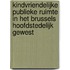 Kindvriendelijke publieke ruimte in het Brussels Hoofdstedelijk Gewest