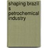 Shaping brazil s petrochemical industry