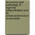 Taxonomy and Pathology of Togninia (Diaporthales) and its Phaeoacremonium Anamorphs