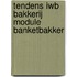 Tendens IWB Bakkerij Module Banketbakker