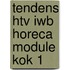 Tendens HTV IWB Horeca Module kok 1