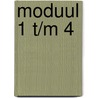 Moduul 1 t/m 4 door J. Tangerink