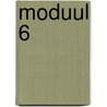 Moduul 6 by P. van Kruchten