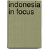 Indonesia in focus