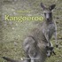 De kangoeroe