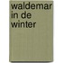 Waldemar in de winter