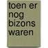 Toen er nog bizons waren