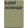 Kalief ooievaar door Hauff