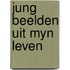 Jung beelden uit myn leven