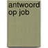 Antwoord op job