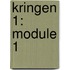 kringen 1: module 1